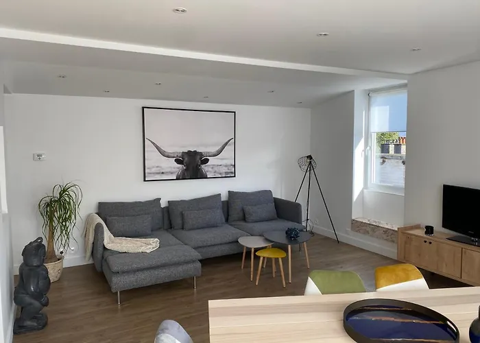 Appartement Situe En Centre Ville Super Lumineux