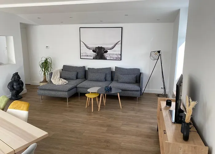 Appartement Situe En Centre Ville Super Lumineux