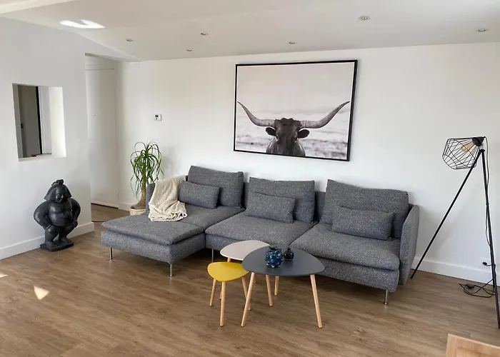 Appartement Situe En Centre Ville Super Lumineux