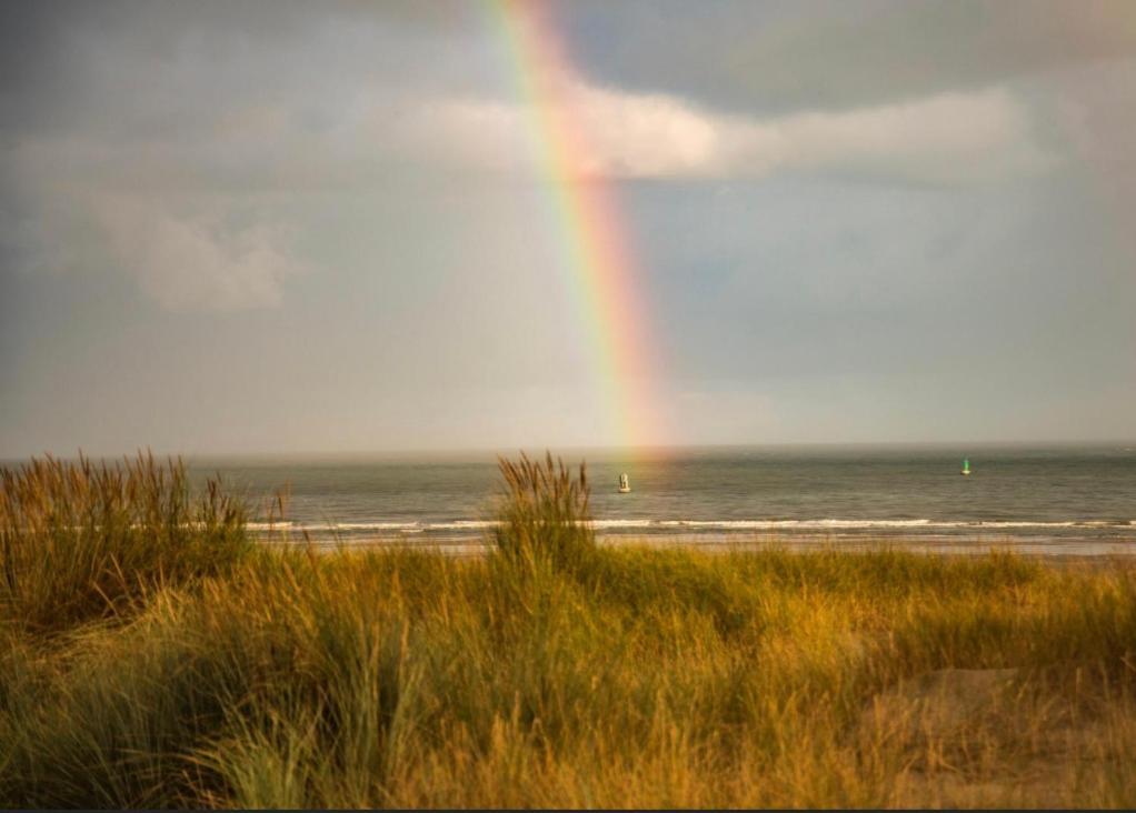 Appartement Situe En Centre Super Lumineux Duinkerke